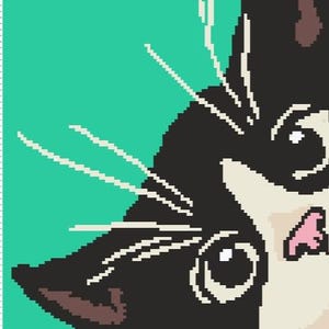 Op de afbeelding: Pixelachtige illustratie van een zwart-wit kattengezicht tegen een turquoise achtergrond. De kat heeft grote ogen en een roze neus en mond. Witte snorharen strekken zich uit vanaf het gezicht van de kat.