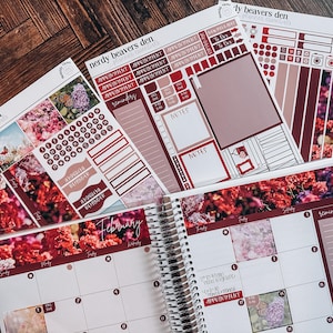 Kit mensual de febrero