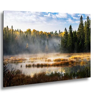 Peut inclure: Photographie de paysage d'un lac brumeux entouré d'arbres à feuilles persistantes et dorées. Le ciel est bleu et blanc, avec le soleil perçant le brouillard, créant une scène sereine et naturelle.