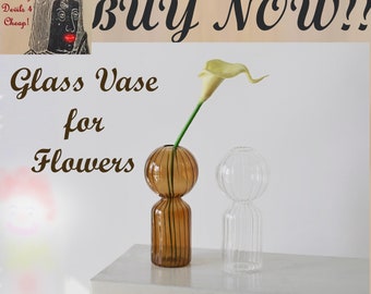 Vases en verre hydroponique à vendre