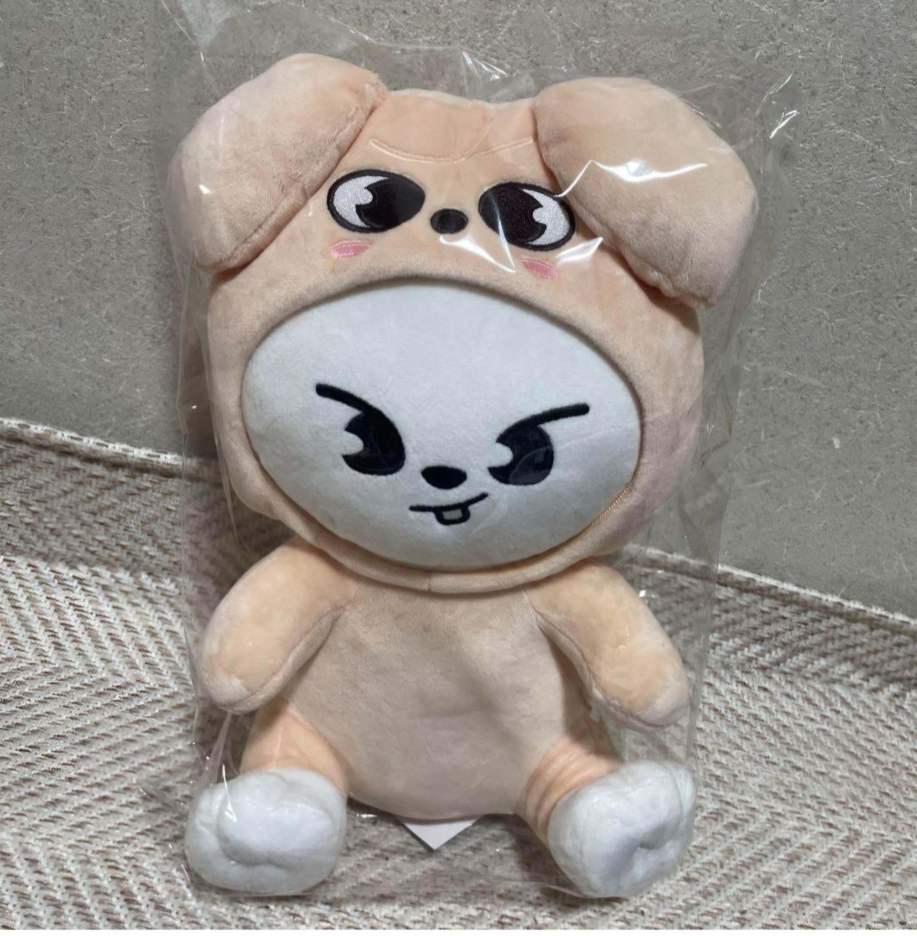 Stray Kids Fan Connecting SKZ TOY WORLD PuppyM & Leebit