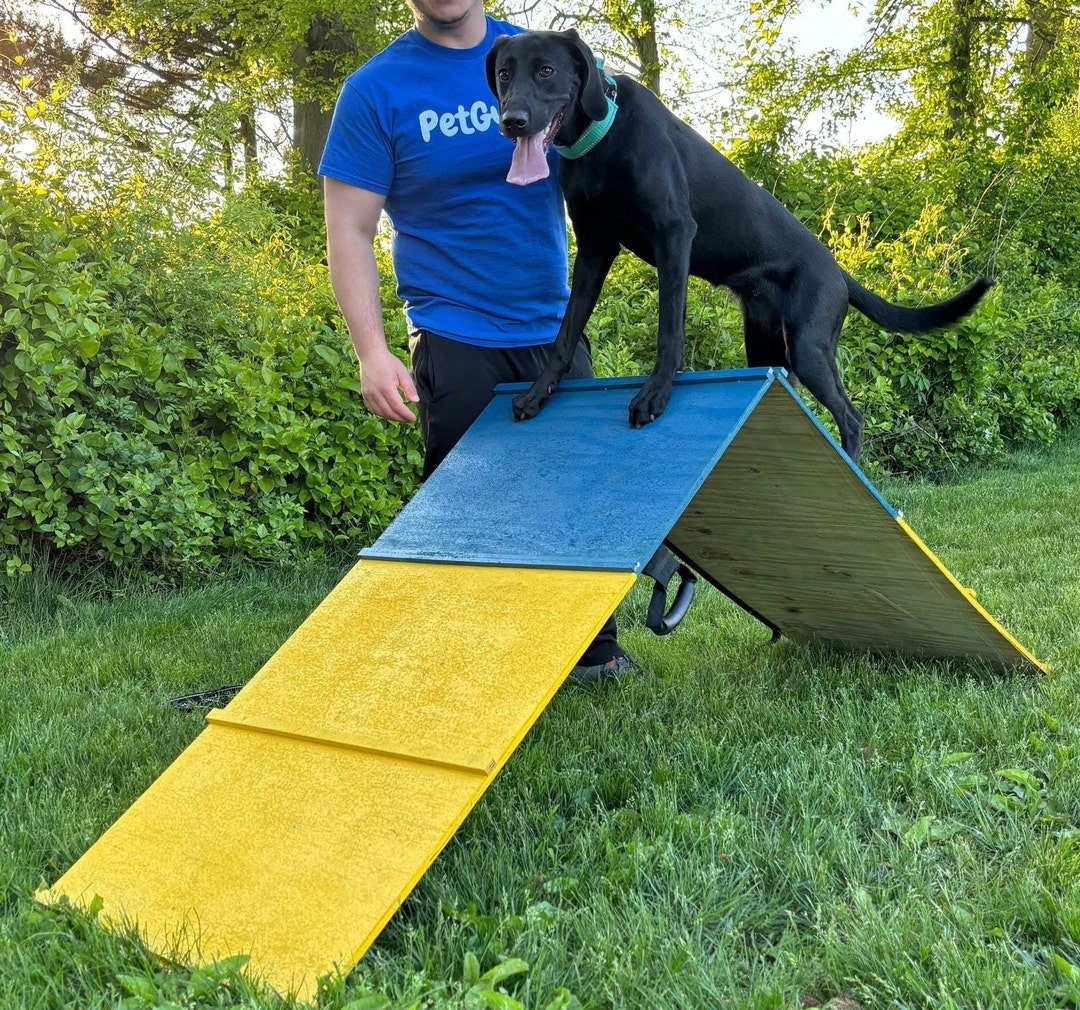 Pet Gyms Dog Agility A Frame Made in USA Dog Park Equipment Dog Agility