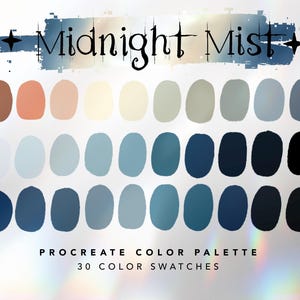 Midnight Mist Procreate Color Palette | Procreate App | Halloween Fall Colors | Color Swatches | iPad Art Illustration | Digital Download