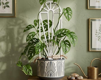 Traliccio per piante rampicanti tagliato al laser, supporto per piante in vaso, file SVG