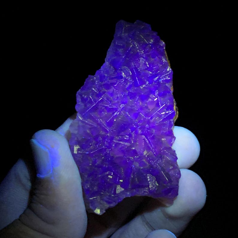 K&ouml;nnte beinhalten: Eine Hand h&auml;lt ein lebendiges, kristallines Mineralexemplar. Das Mineral hat eine tiefviolette Farbe mit scharfen, geometrischen Kristallformationen. Der Hintergrund ist schwarz und hebt die leuchtende, fluoreszierende Natur des Minerals hervor.