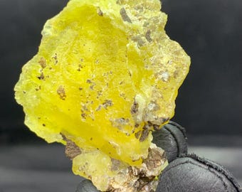 May include: A vibrant, raw sulfur specimen. The mineral displays a bright yellow hue with a crystalline structure and rough texture. Small, dark inclusions are scattered throughout the sulfur. The specimen is held by a gloved hand.