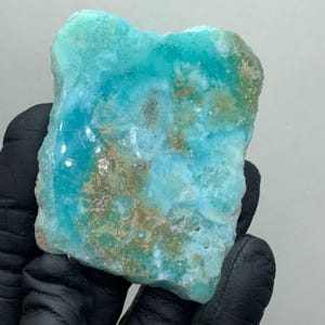 May include: A vibrant, irregularly shaped gemstone with a striking turquoise hue, accented by areas of brown and white. The stone's surface has a natural, textured appearance, showcasing its unique mineral composition. The gemstone is held in a gloved hand.