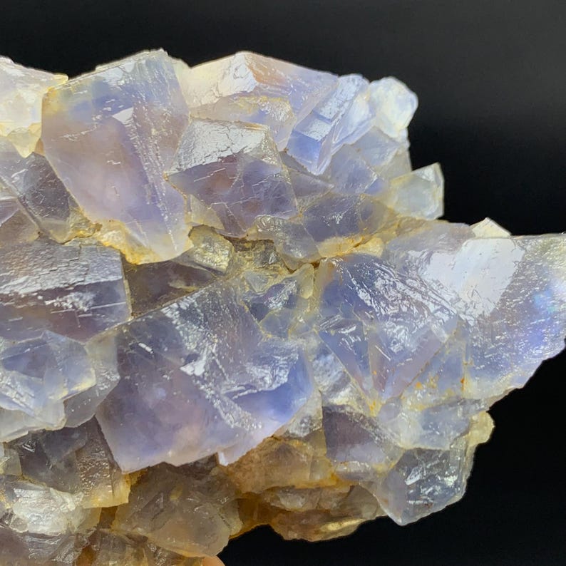 May include: Close-up of a fluorite mineral specimen. The crystalline structure displays a mix of pale purple and clear, translucent sections. The edges of the crystals have a golden-brown hue, with a dark background.