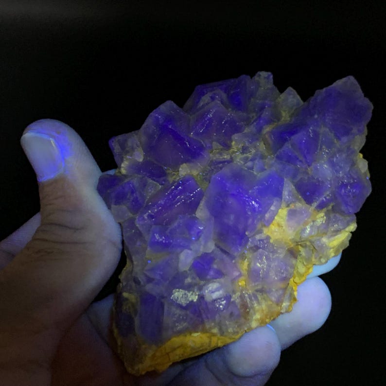 May include: A cluster of vibrant purple crystals with a yellow base. The crystals have a geometric shape and are illuminated with a blue light. The image is set against a black background, highlighting the mineral's color and texture.