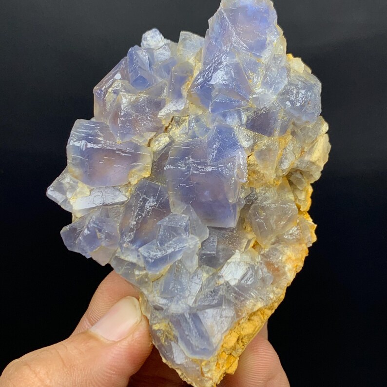 May include: A cluster of blue and clear fluorite crystals. The crystals have a cubic structure and are partially embedded in a yellow-brown matrix. The fluorite has a translucent appearance, with some areas appearing more opaque.