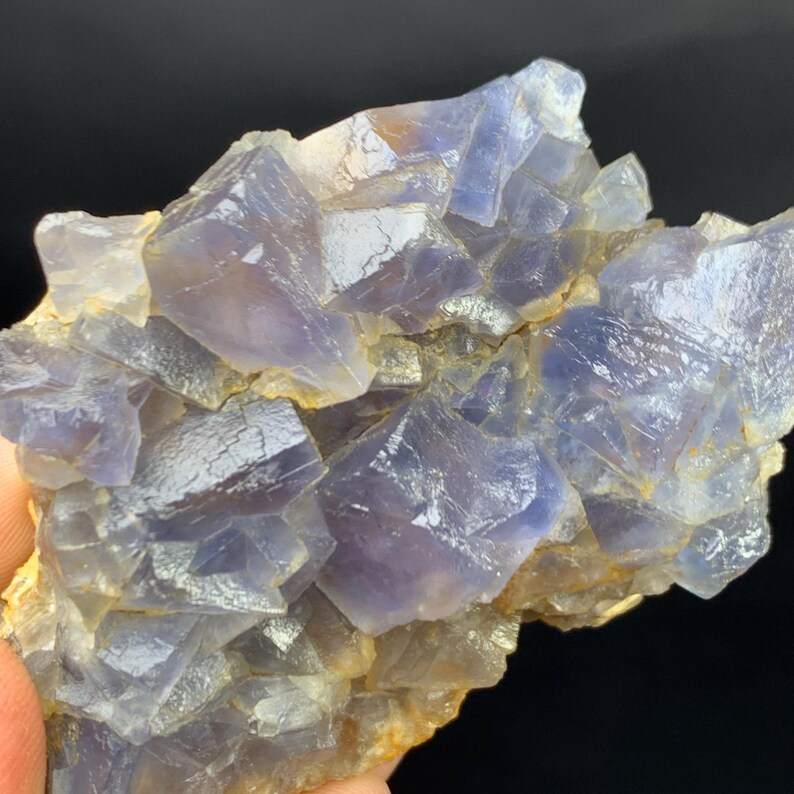 May include: A close-up of a cluster of blue and purple fluorite crystals. The crystals have a cubic structure and are partially translucent. The base of the cluster is a light brown color, and the background is black.