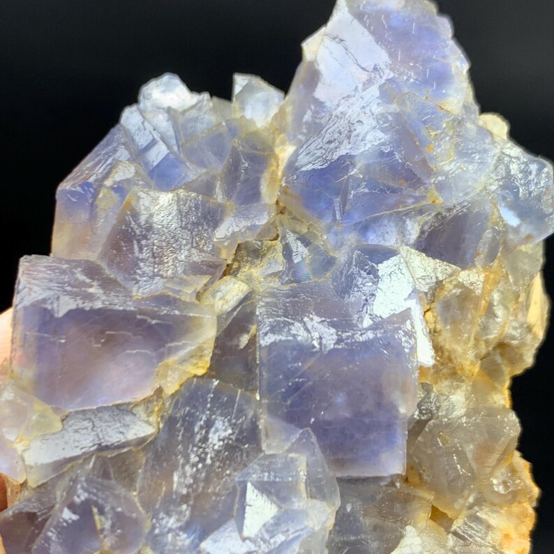 May include: Close-up of a cluster of blue and purple fluorite crystals. The crystals have a cubic structure and are partially translucent, with a light yellow matrix. The mineral formation is set against a dark background.