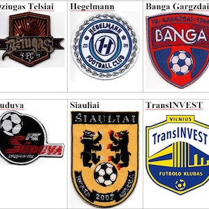 DFK Dainava FC Dziugas Telsiai Hegelmann Fk Banga Gargzdai Kauno Zalgiris Panevezys Suduva FA Siauliai TransINVEST Lithuania Football Patch