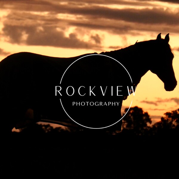 Rural Photography Digital Image Horse Outline at Sunset