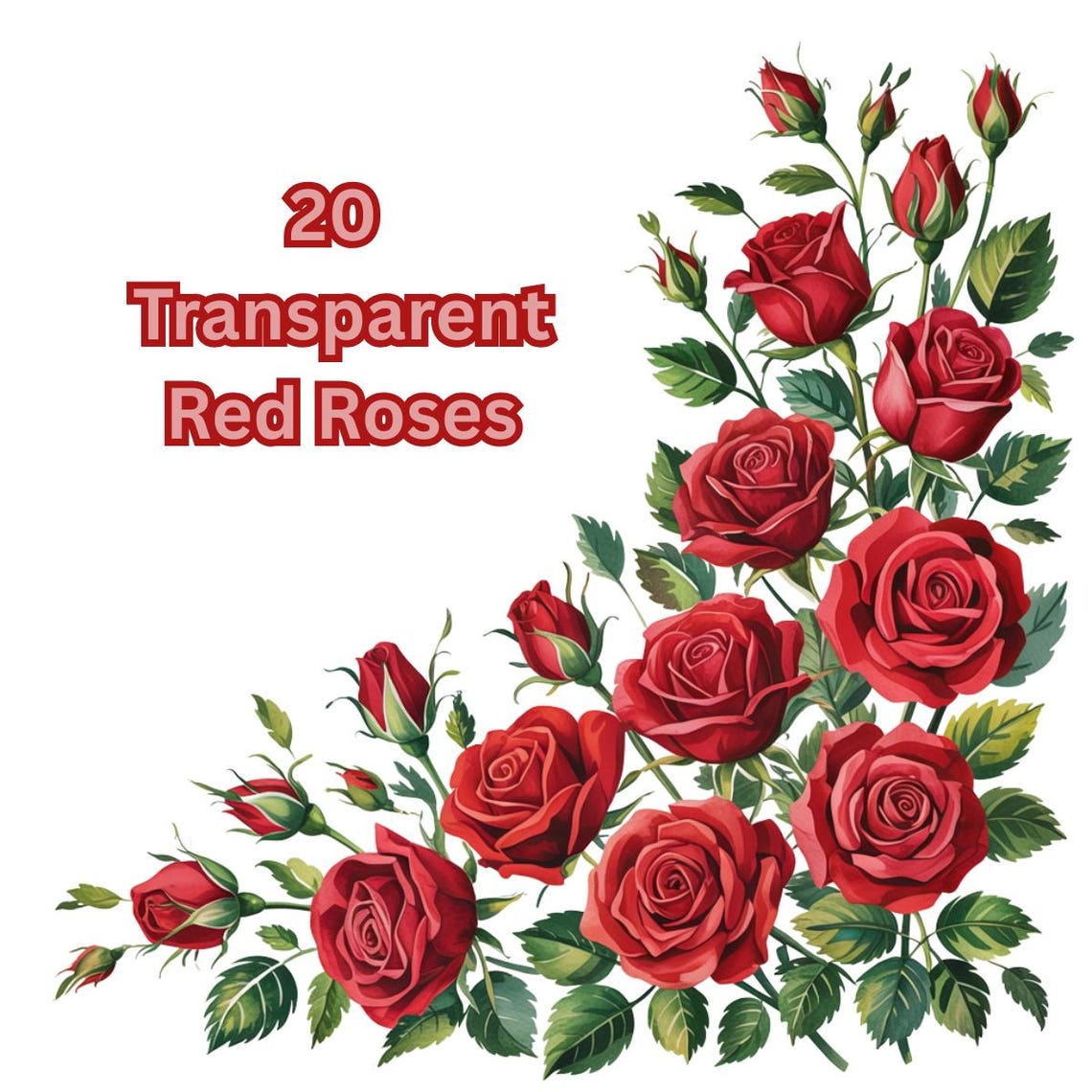 20 Red Roses Clip Arts, Borders, Transparent - Etsy