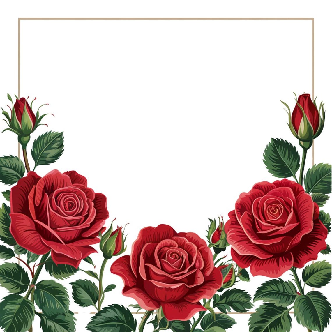 20 Red Roses Clip Arts, Borders, Transparent - Etsy