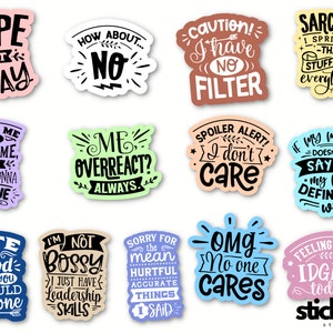13 stickers sarcastiques drôles de citations de scrapbooking journal autocollants en vinyle brillant ou mat
