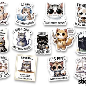 13 pegatinas de gatos y gatitos sarcásticos, divertidas y atrevidas, brillantes o mate