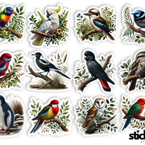 12 pcs Australian Birds Kookaburra Cockatoo Magpie Lorikeet Penguin Owl Wren Rosella Parrot Tawny Frogmouth Vinyl Stickers Glossy or Matte