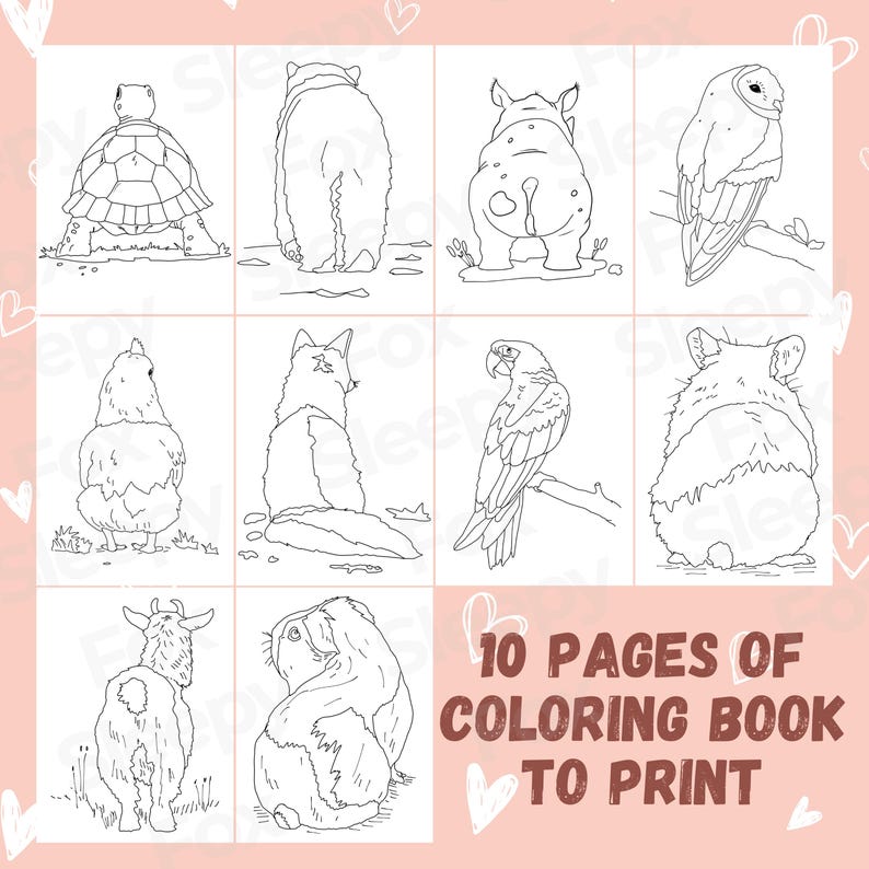 Animals From Behind Coloring Pages | 10 Printable Sheets | Funny Animal ...