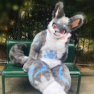 Down payment, Custom Your Own Fursuit, Full Fursuit, Fursona, Kemono, Toony
