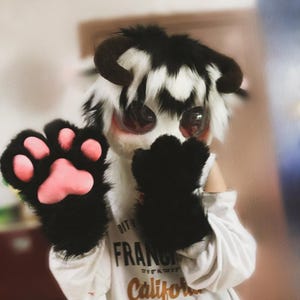 Puede incluir: Una cabeza de disfraz peluda con pelo blanco y negro, ojos rojos grandes y pequeños cuernos marrones. El disfraz incluye guantes de pata negros con almohadillas rosas. La persona lleva una camiseta blanca con el texto "CITY OF FRANC...California...PACIFIC REGION."
