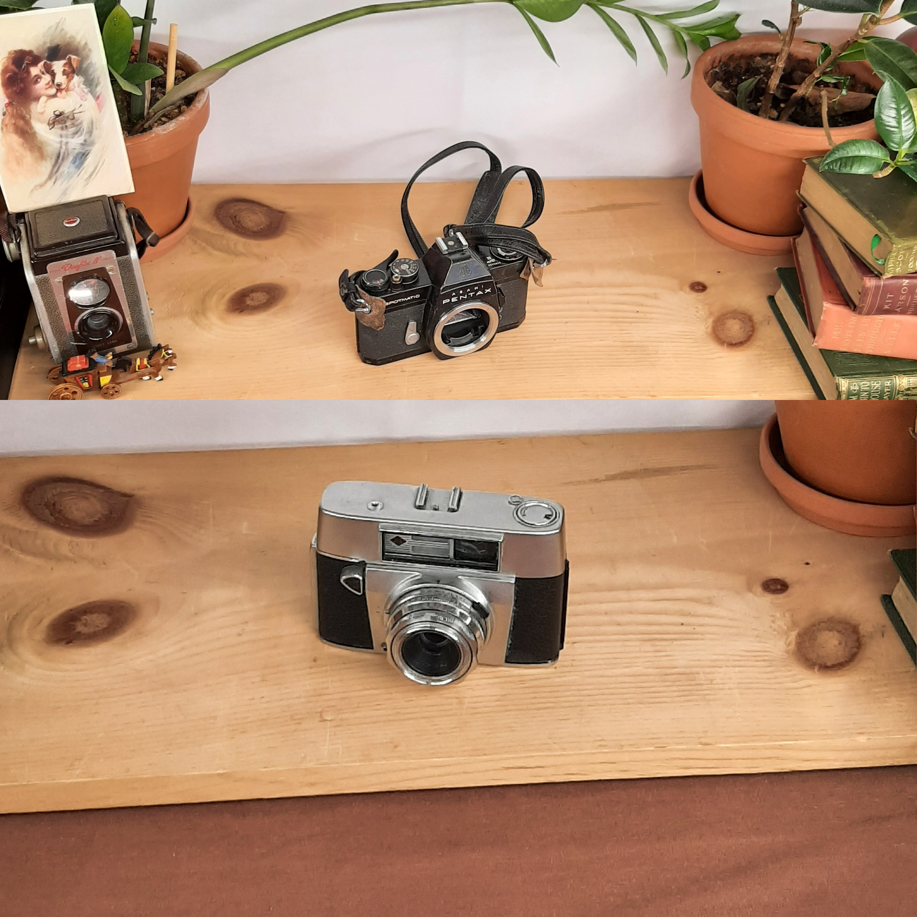 Film Cameras Thrift Shop Camera Various Thrifted Film Cameras