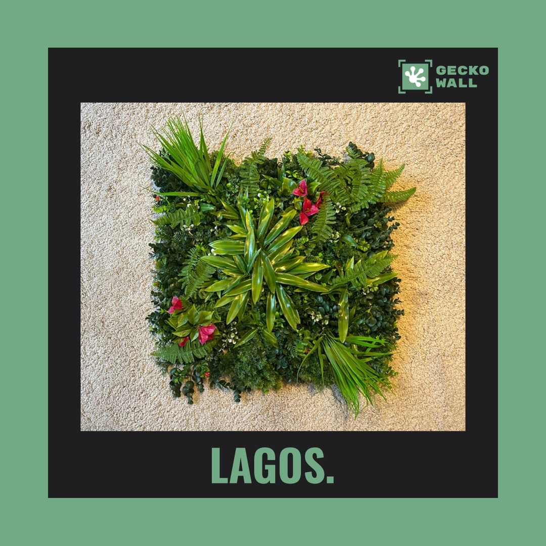 LAGOS Premium Jungle Pink Flowers Plant Wall 50 X 50 Cm Flower Orchid