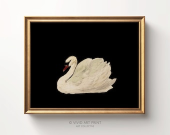 May include: A white swan with a red beak is depicted against a black background. The swan is in a graceful pose with its wings spread out. The image is framed in a gold frame.