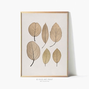 Könnte beinhalten: Ein gerahmter Druck mit sechs zarten, getrockneten Blättern in Beige- und Brauntönen. Die Blätter sind symmetrisch auf einem weißen Hintergrund angeordnet. Der Druck trägt den Titel "VIVID ART PRINT ART COLLECTIVE".