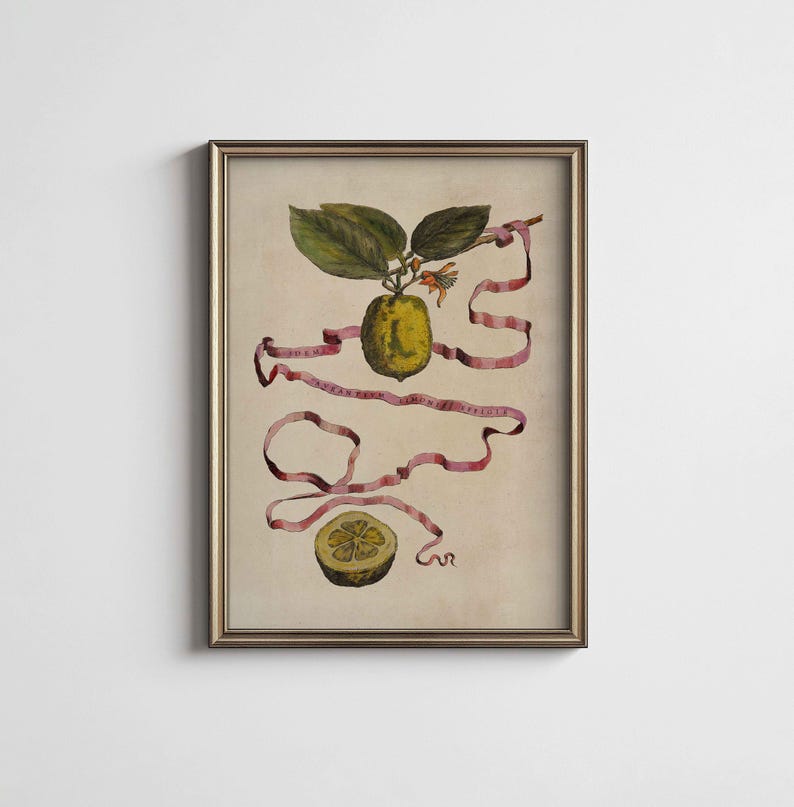 PRINTABLE Vintage Lemon Art | Botanical Citrus Fruit Wall Decor ...