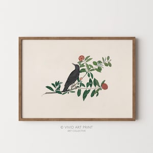Vintage Bird Botanical Art Print: Blackbird Drawing (Digital Download)