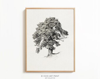 Botanical Oak Tree Sketch Art Print: Vintage Farmhouse Decor (Digital Download)