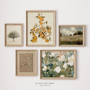 May include: Five framed art prints on a white wall. The top print features a botanical illustration of a branch of orange fruit. The print to the left features a tree with green leaves. The print to the right features a landscape with a field and a cloudy sky. The bottom two prints feature abstract floral designs.