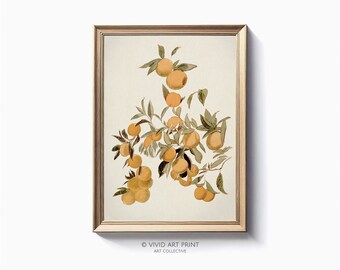 印刷可能な植物イラストウォールアート「柑橘類の木」ヴィンテージ