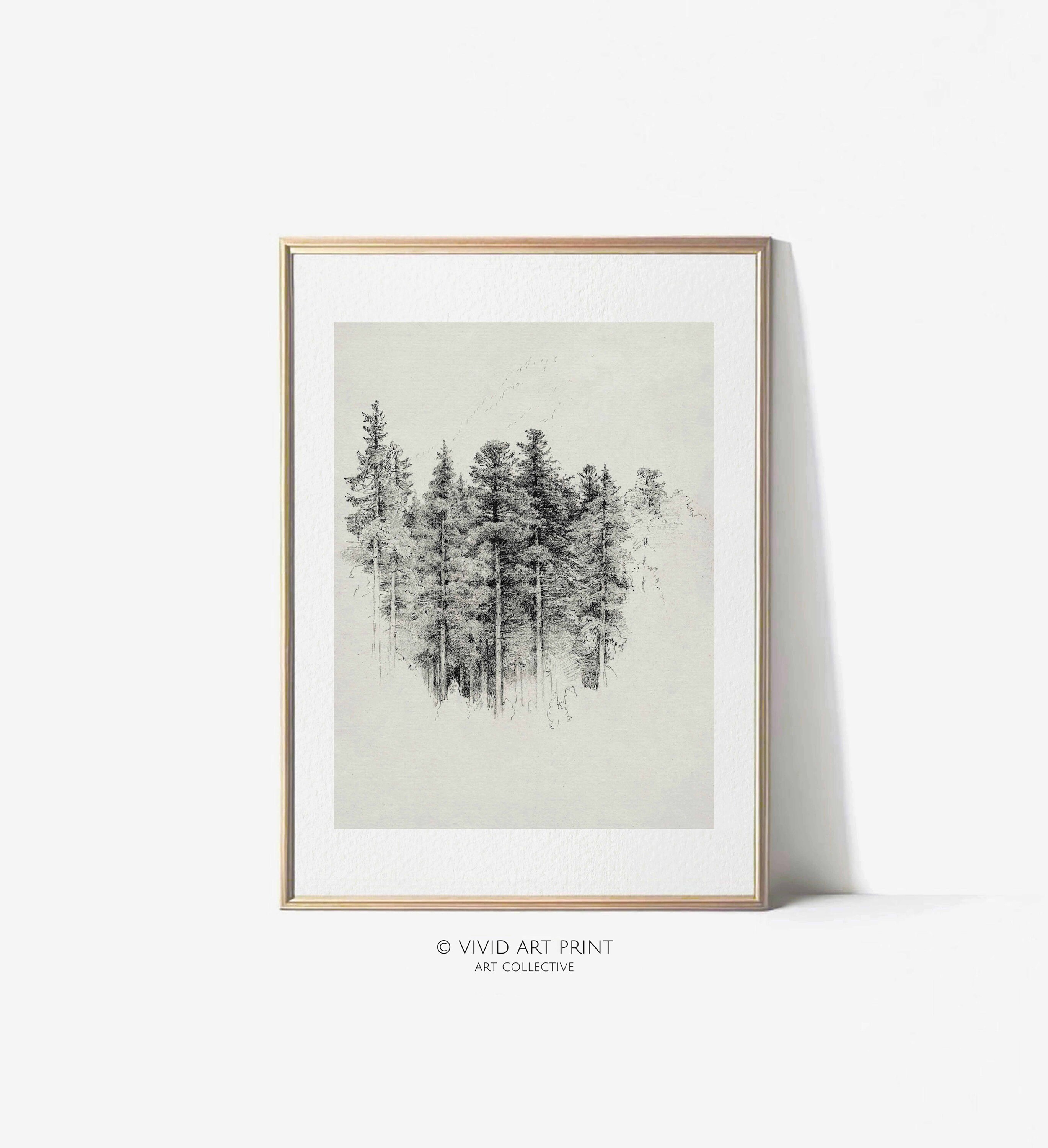 Pine Tree Forest Pencil Drawing: Vintage Nature Art (digital