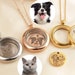 see more listings in the Pet's Jewelry section