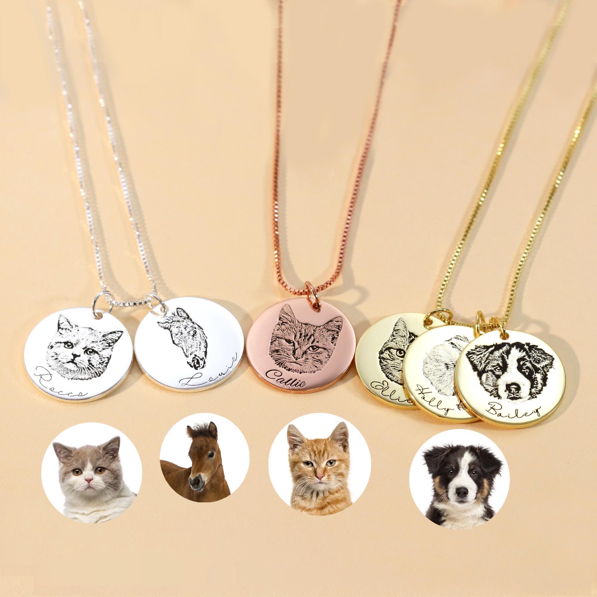 Fereastră Elită Furios Targhetta Cane Con Nome Amazon Post Impresionism - Foto 14