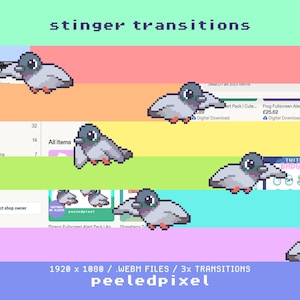 Peut inclure: Un pack d'actifs numériques présentant des animations de pigeons en pixel art pour des transitions stinger. Le graphique affiche plusieurs pigeons gris avec un ventre blanc et des pattes orange sur un fond rayé horizontal multicolore.