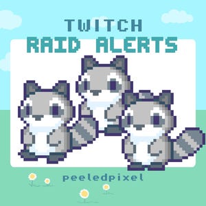 Waschbär Twitch Raid Alarm Paket | Animierter Waschbär als Bundle | Tier Raid Overlay Objekte | 3x Alarme Bild 1