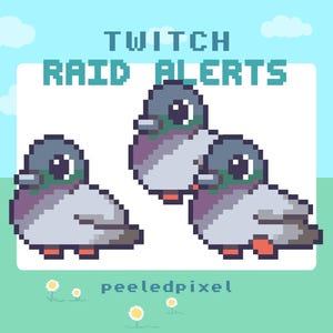 May include: Pixel art graphic with three pigeons, text "TWITCH RAID ALERTS", and the word "peeledpixel". The pigeons are gray, purple, and orange, set against a blue sky and green grass background.