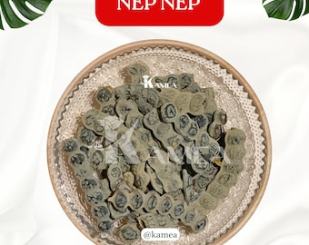Nep Nep - Neb - Neb