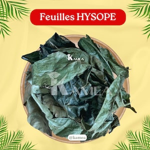 Getrocknete Ysopblätter - KPATIMA - AFRIKANISCHER YSOP - Reinigung - Glück - Enthexung - Entblockung