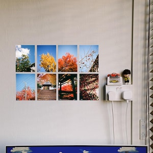 HERBST DRUCKSET | 8er Set Prints | Postkarten | A5 Japanische Fotodrucke | Atemberaubende Landschaftskunst | Reisefotografie | Einzigartiges Wohndekor