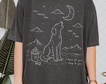Limited Comfort Colors Orbiter Song Inspired T-Shirt, The Divide Tour Fan Tshirt, Gift For Women and Man Unisex T-Shirt
