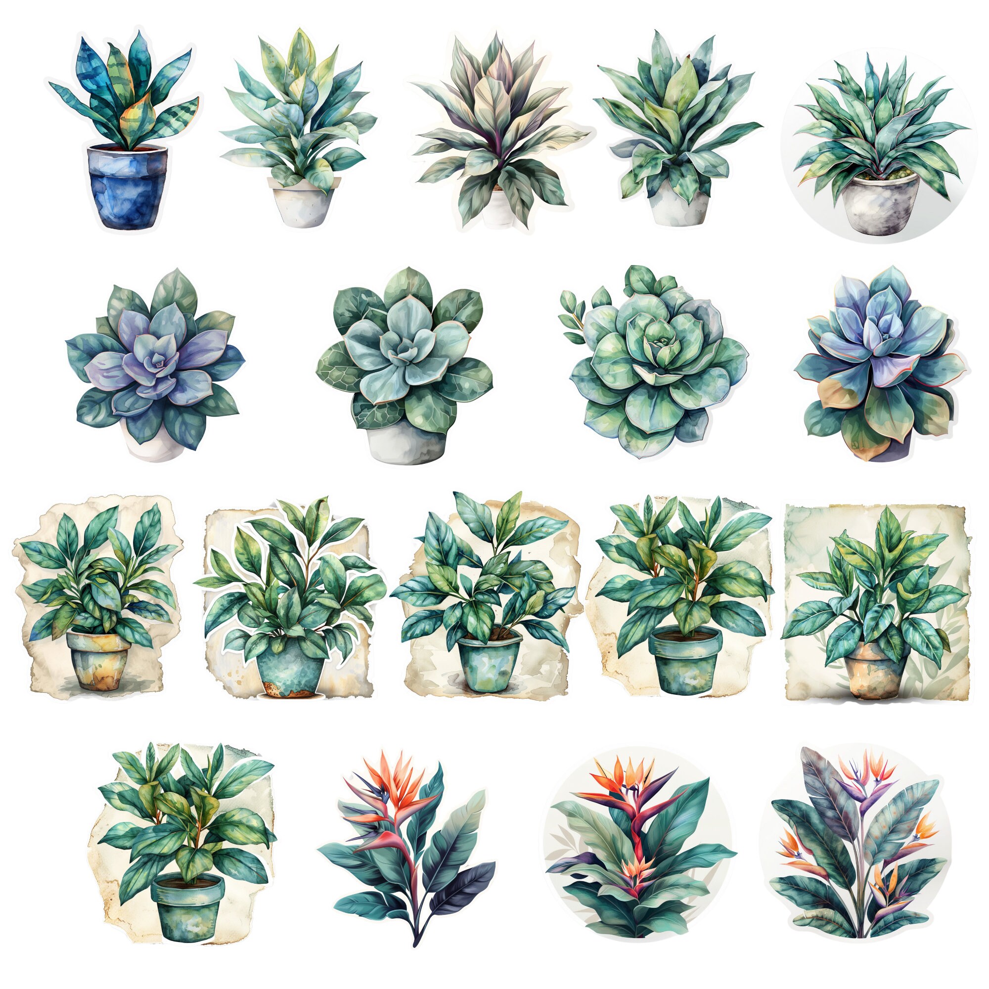 Plant Animal Clipart Minimal Plant Png For Print Stickers Collage 