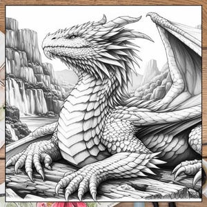 May include: A detailed black and white pencil drawing of a dragon with its wings spread out. The dragon is lying on a rock with a waterfall in the background.