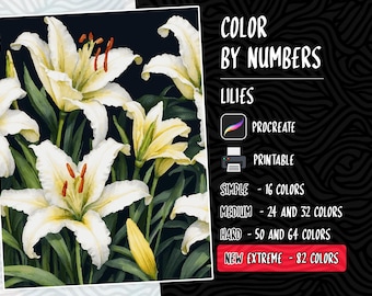 Lilies Coloring Color by Number Paint by Number Digital Coloring Procreate Coloring Book Adults Coloring Flowers Coloring Floral Coloring