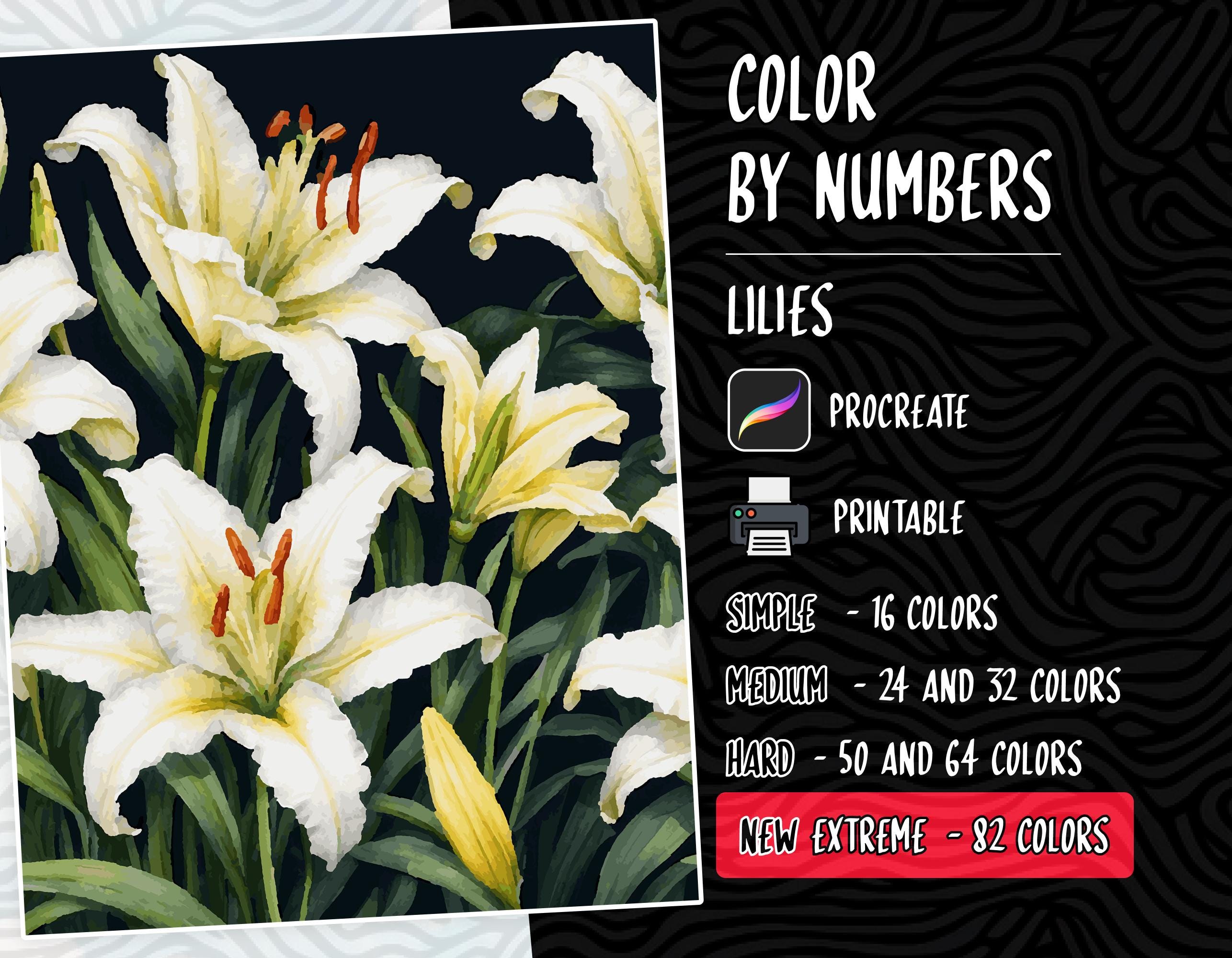 Lirios para colorear por números imprimibles | Páginas florales Paint by Numbers para adultos (PDF, PNG, SVG, Procreate)
