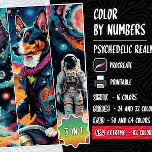 Psychedelic Coloring by Numbers Paint by Numbers Digital Coloring Pdf Procreate Coloring Book Adults Coloring Book Color by Number iPad Pdf